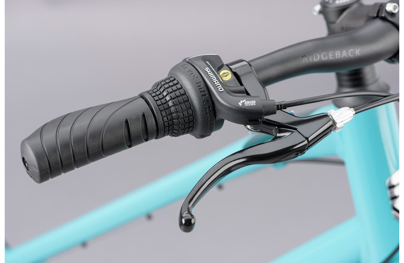 Ridgeback 2025 comet 2021