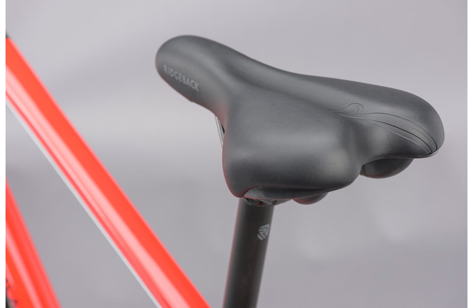 Ridgeback motion shop