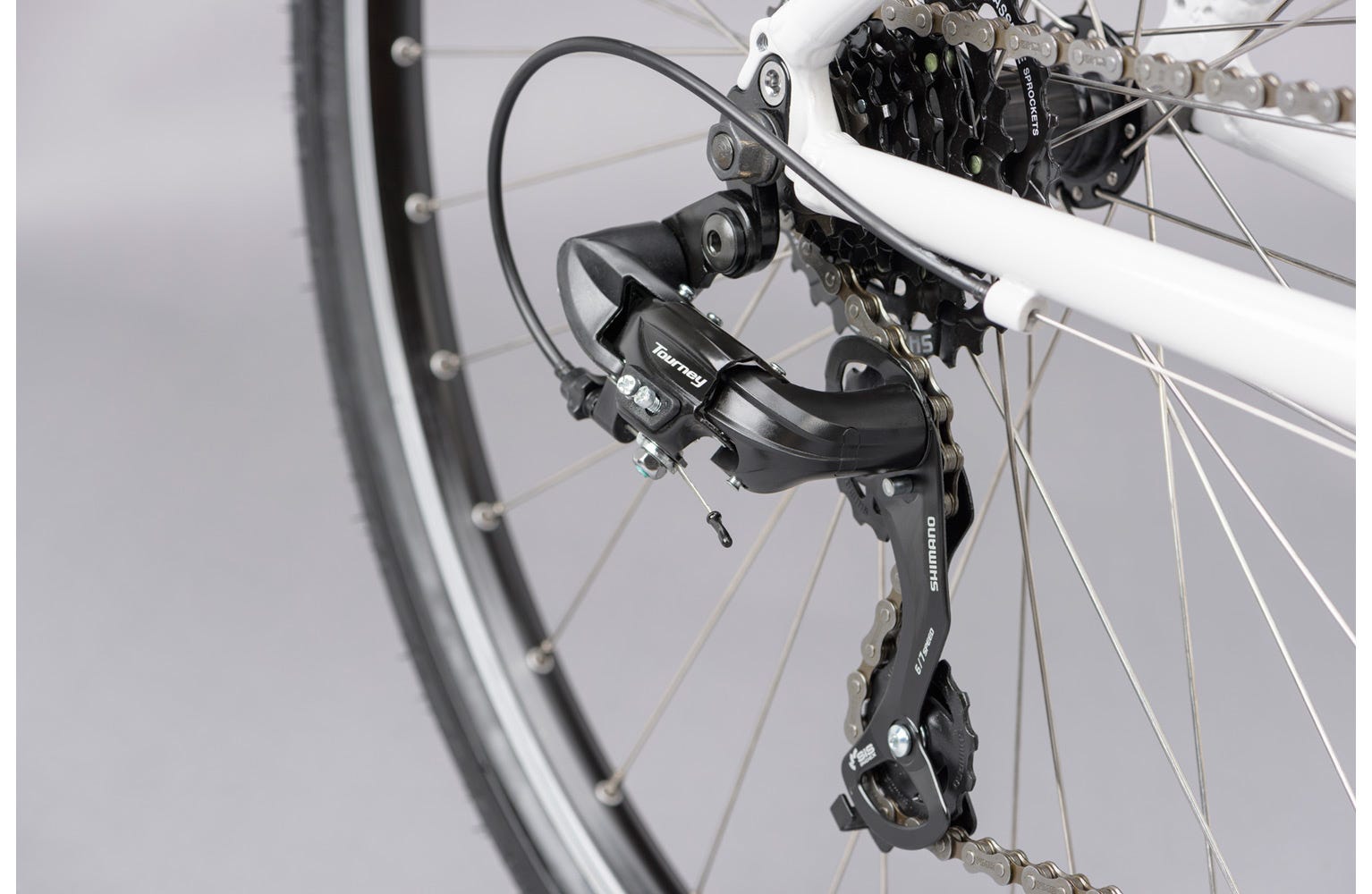 Ridgeback motion cheap