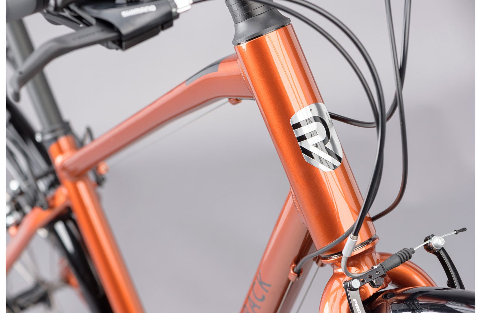 Ridgeback speed 2025