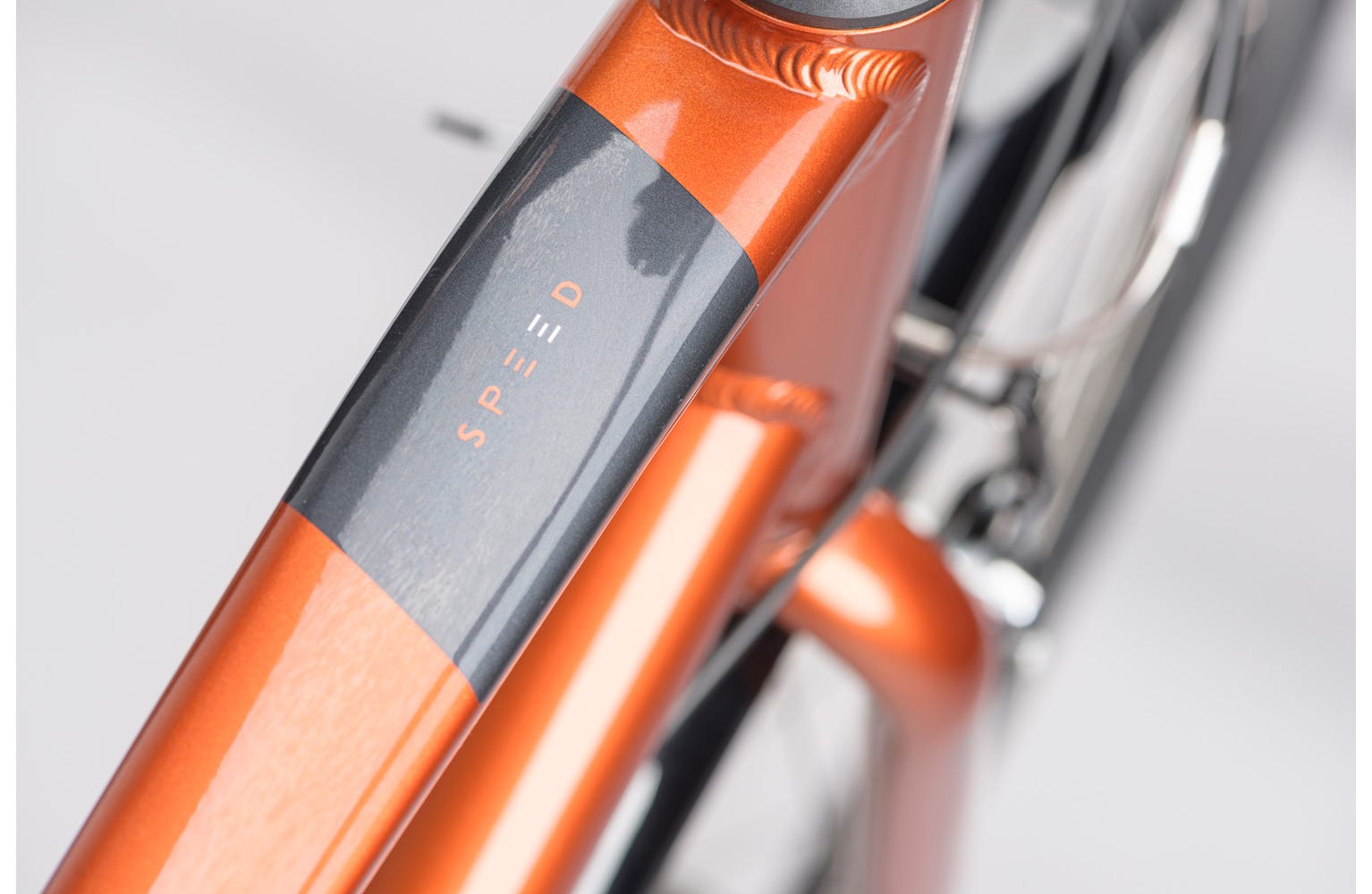 Ridgeback shop speed 2020