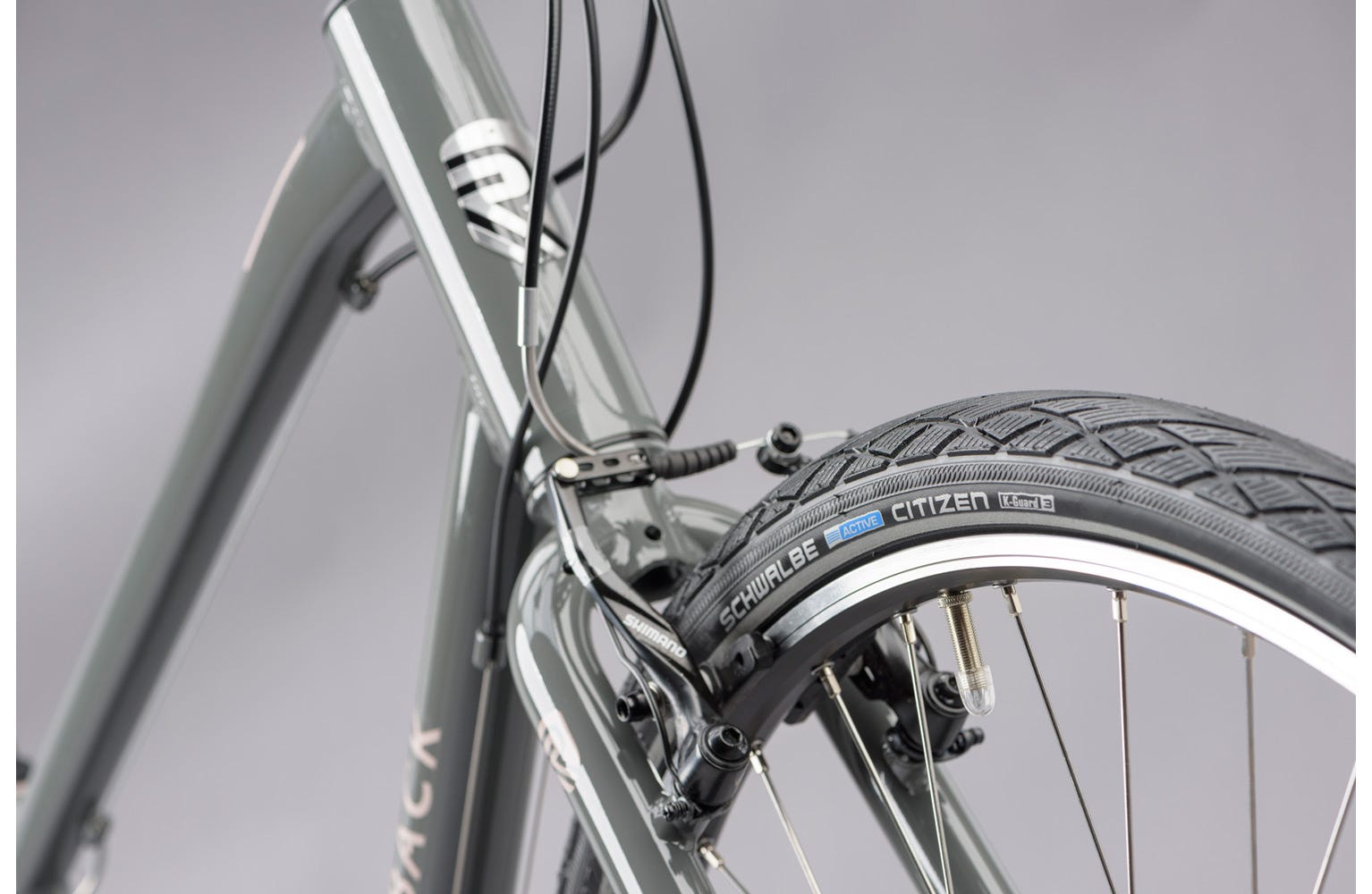 Ridgeback velocity 2019 2025