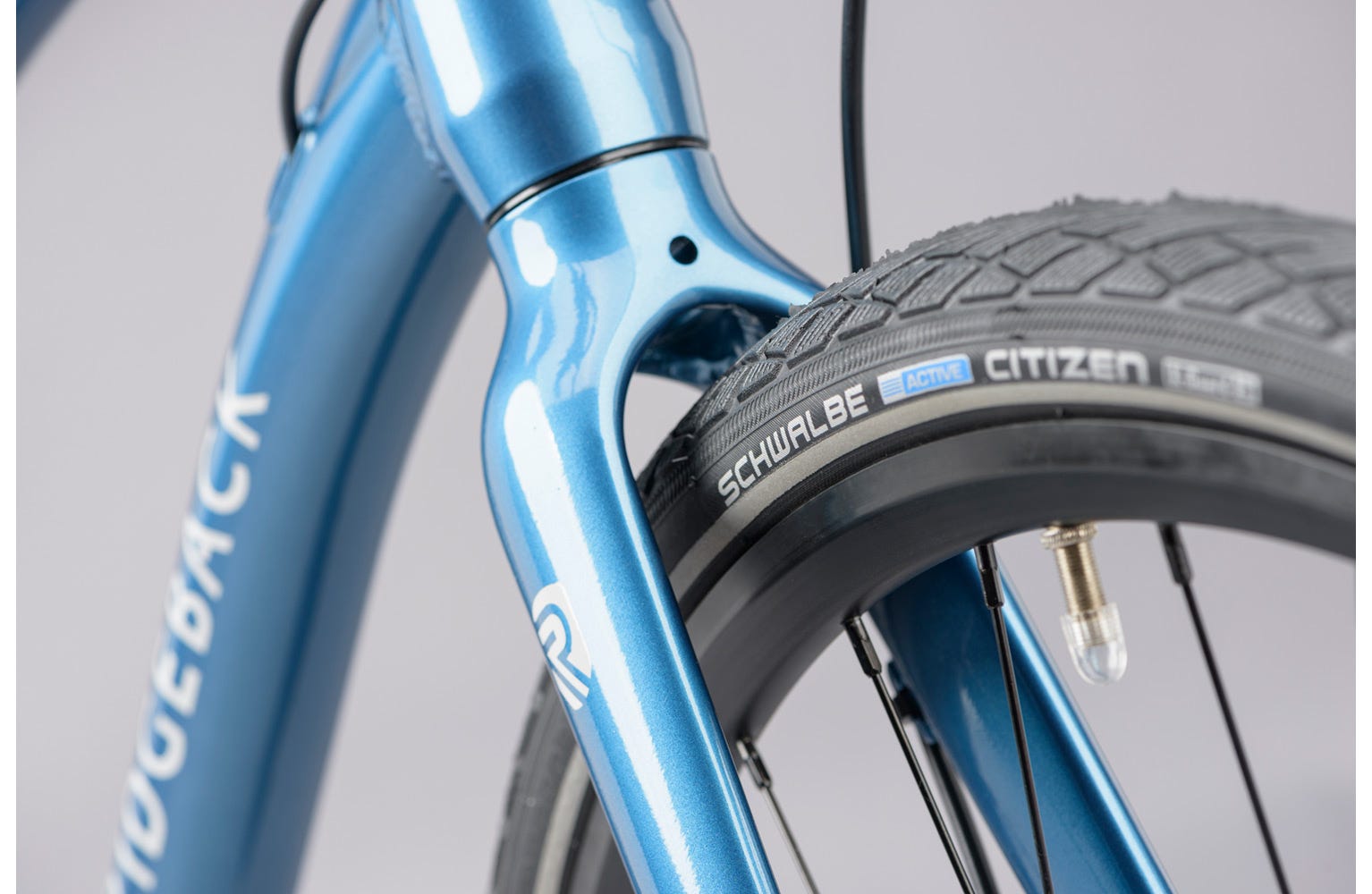 Ridgeback element 2025