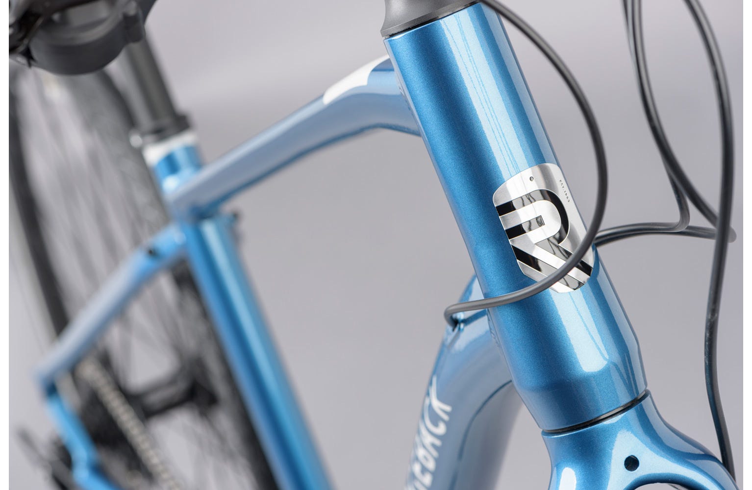 Ridgeback element 2020 new arrivals