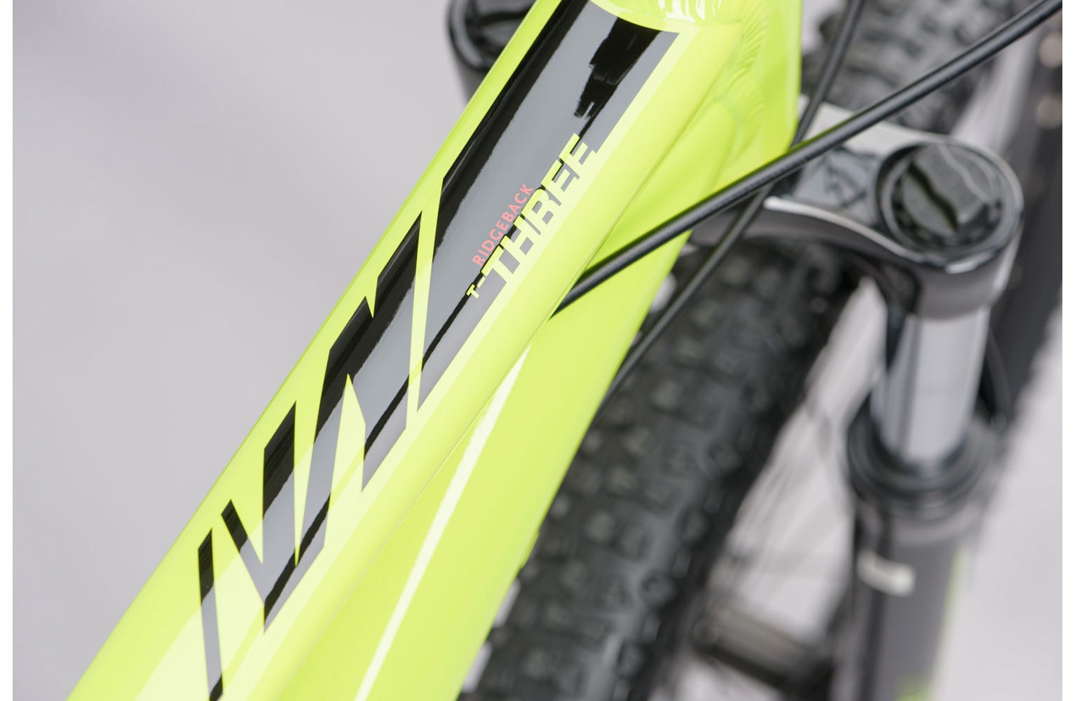 Ridgeback flight sales 3.0