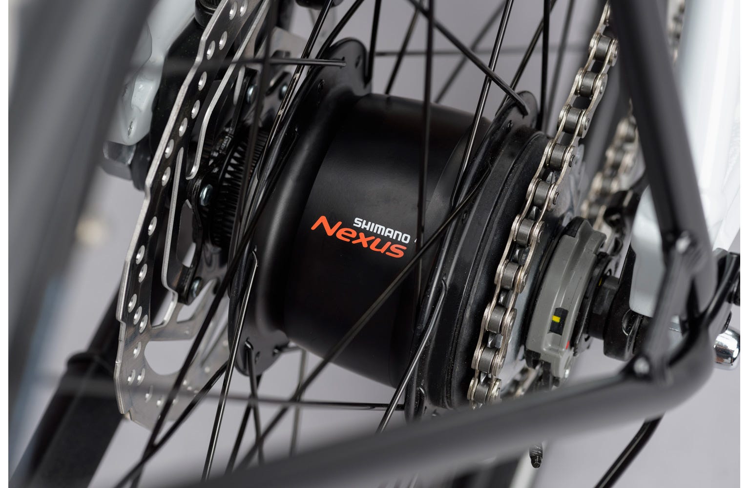 Ridgeback supernova on sale