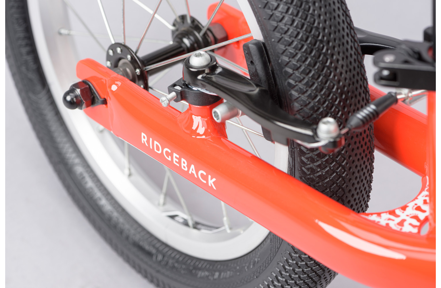 Ridgeback Scoot XL | Youth \u0026 Kids Bikes 