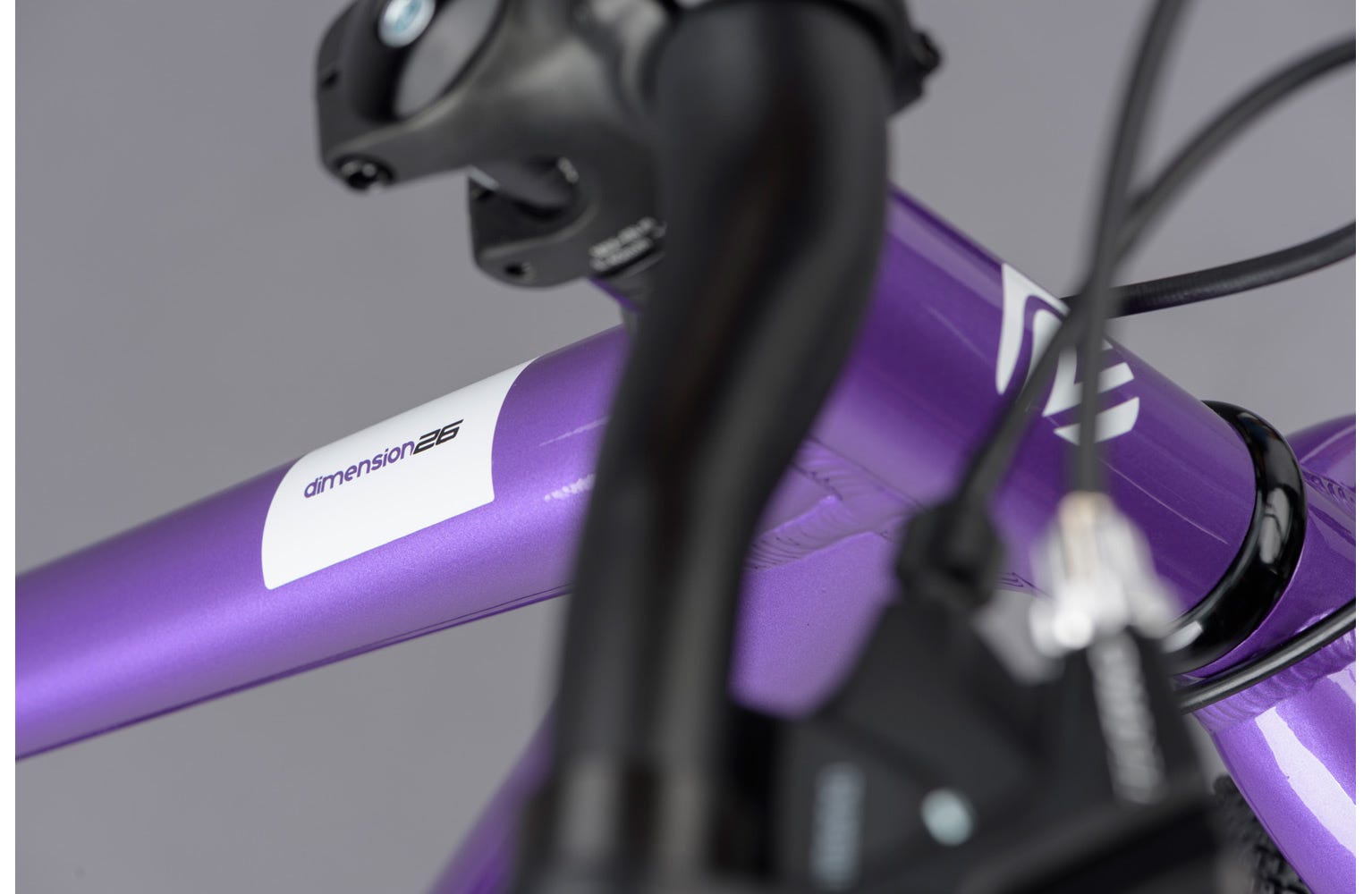 ridgeback dimension 20 purple
