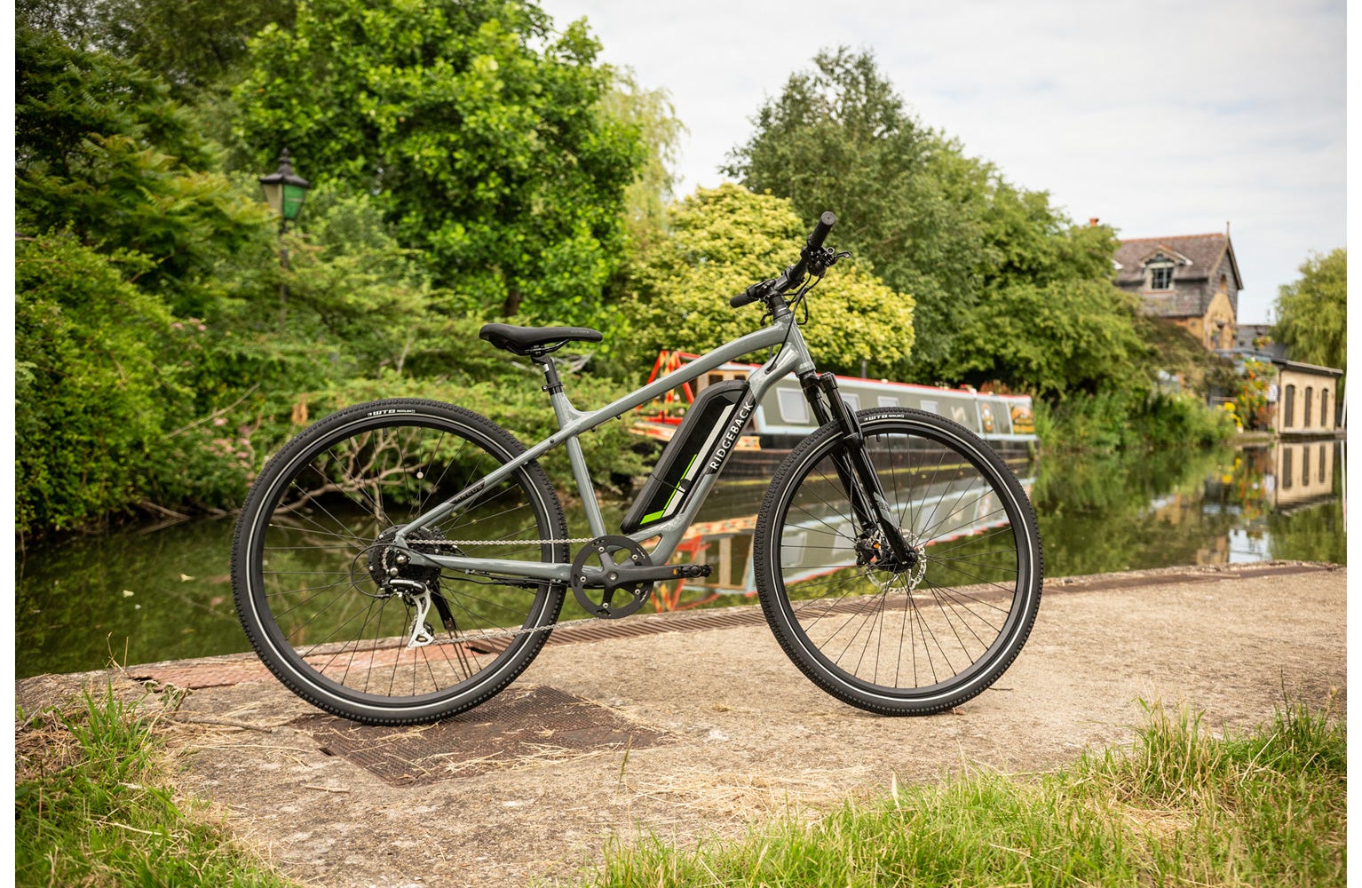 Ridgeback arcus cheap