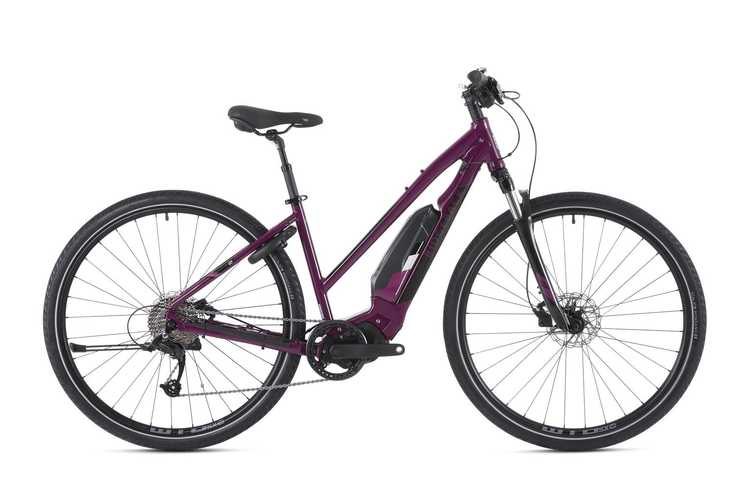 Ridgeback tour 2017 discount