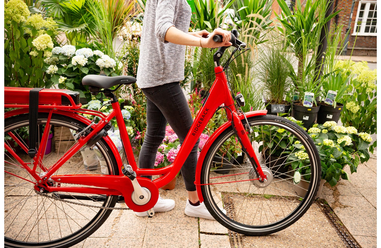 Ridgeback Electron Front Hub Drive