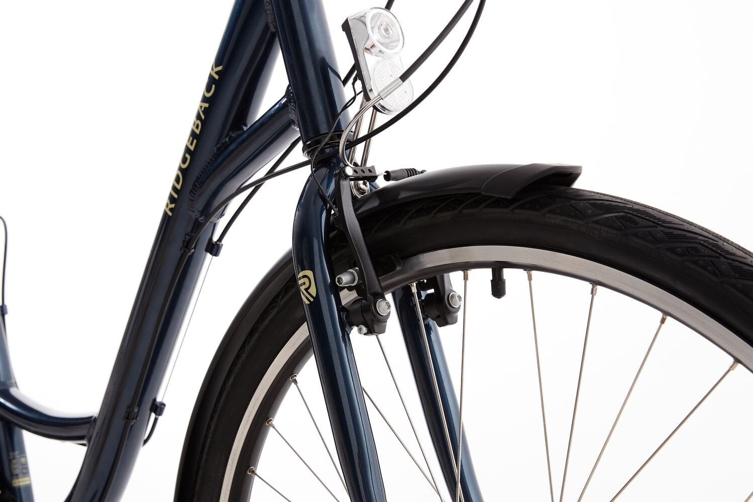 Ridgeback avenida 2025