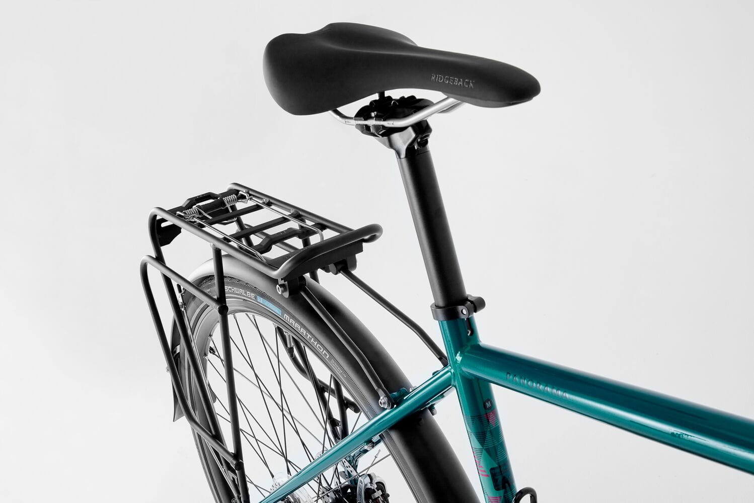 Ridgeback tour 2025 2019