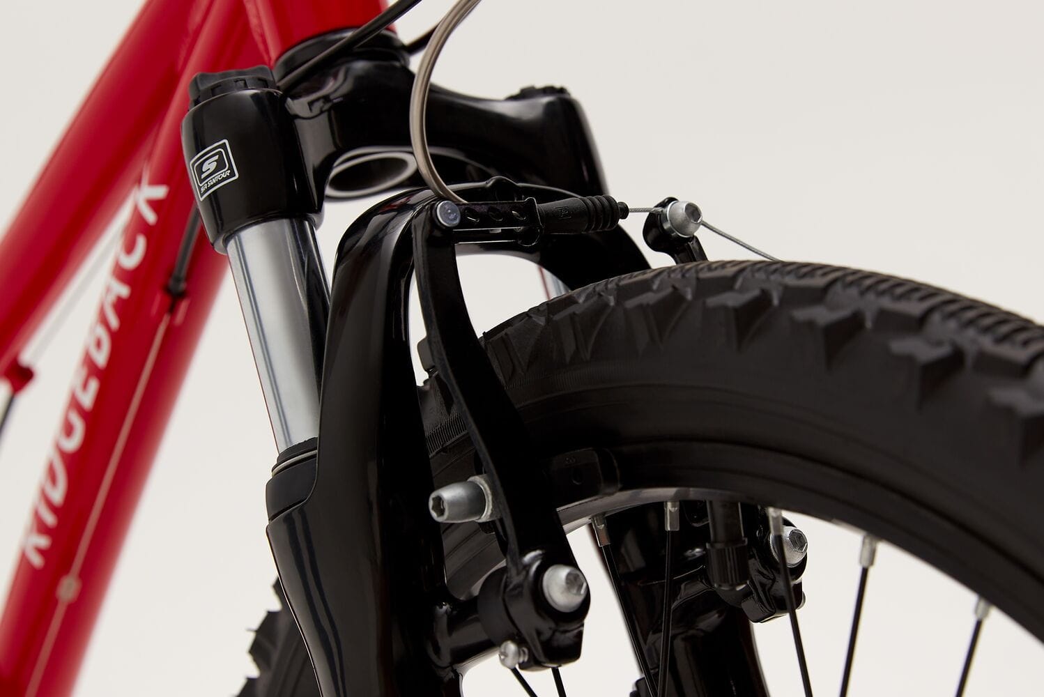 Ridgeback mx sales