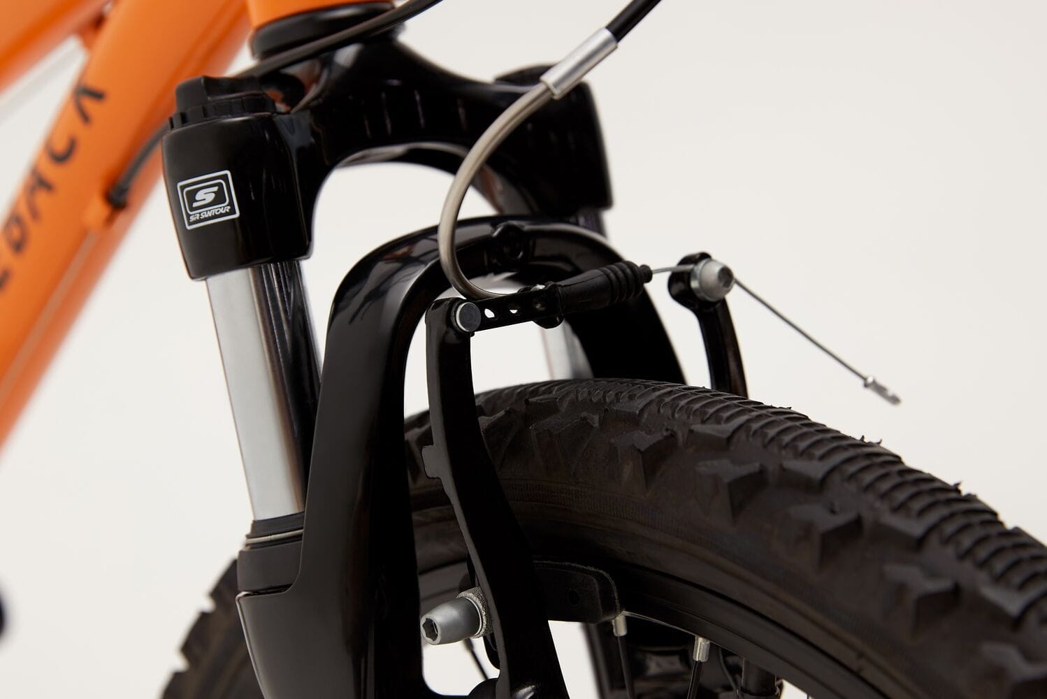 Ridgeback mx20 2025 terrain