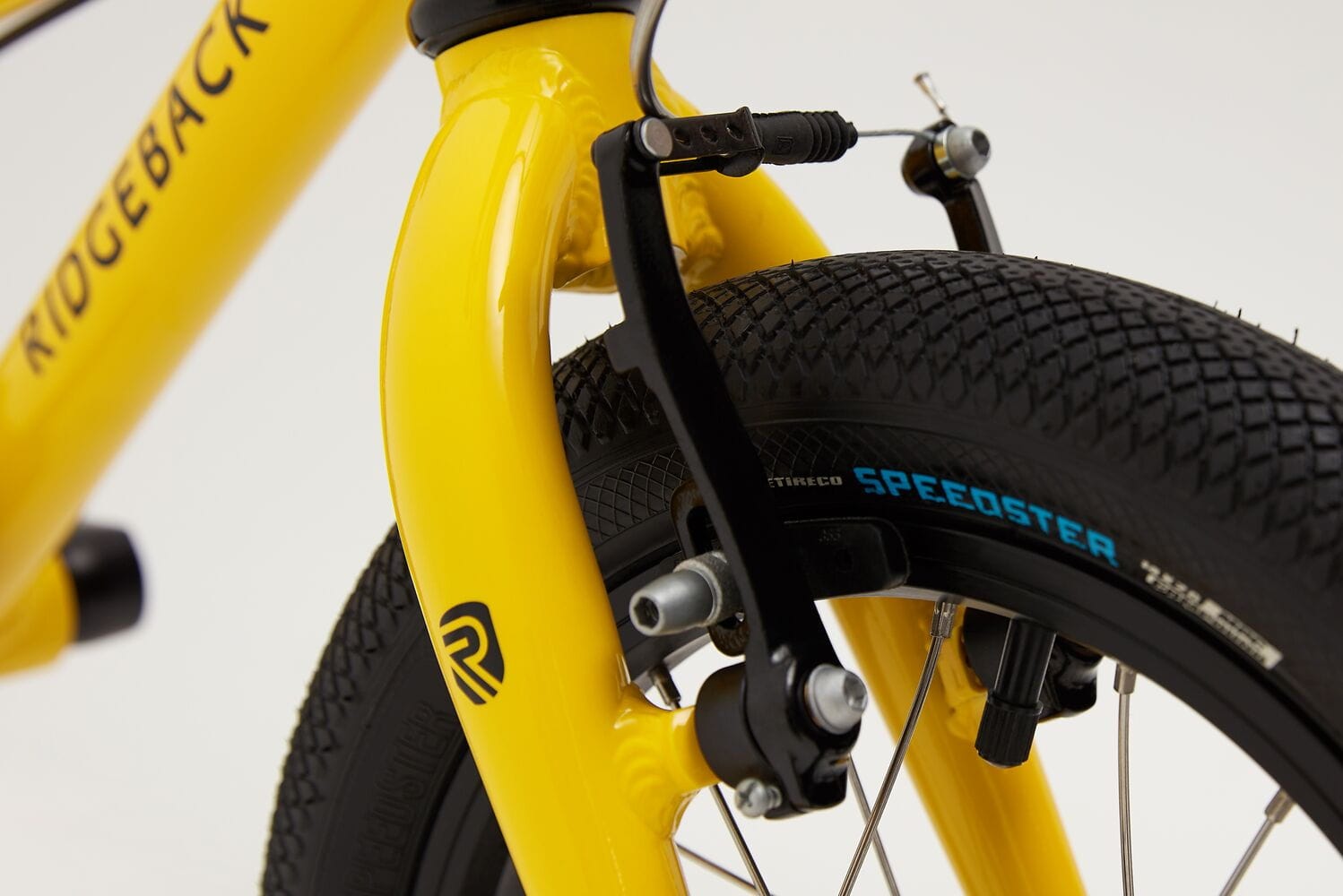 Ridgeback dimension new arrivals 14