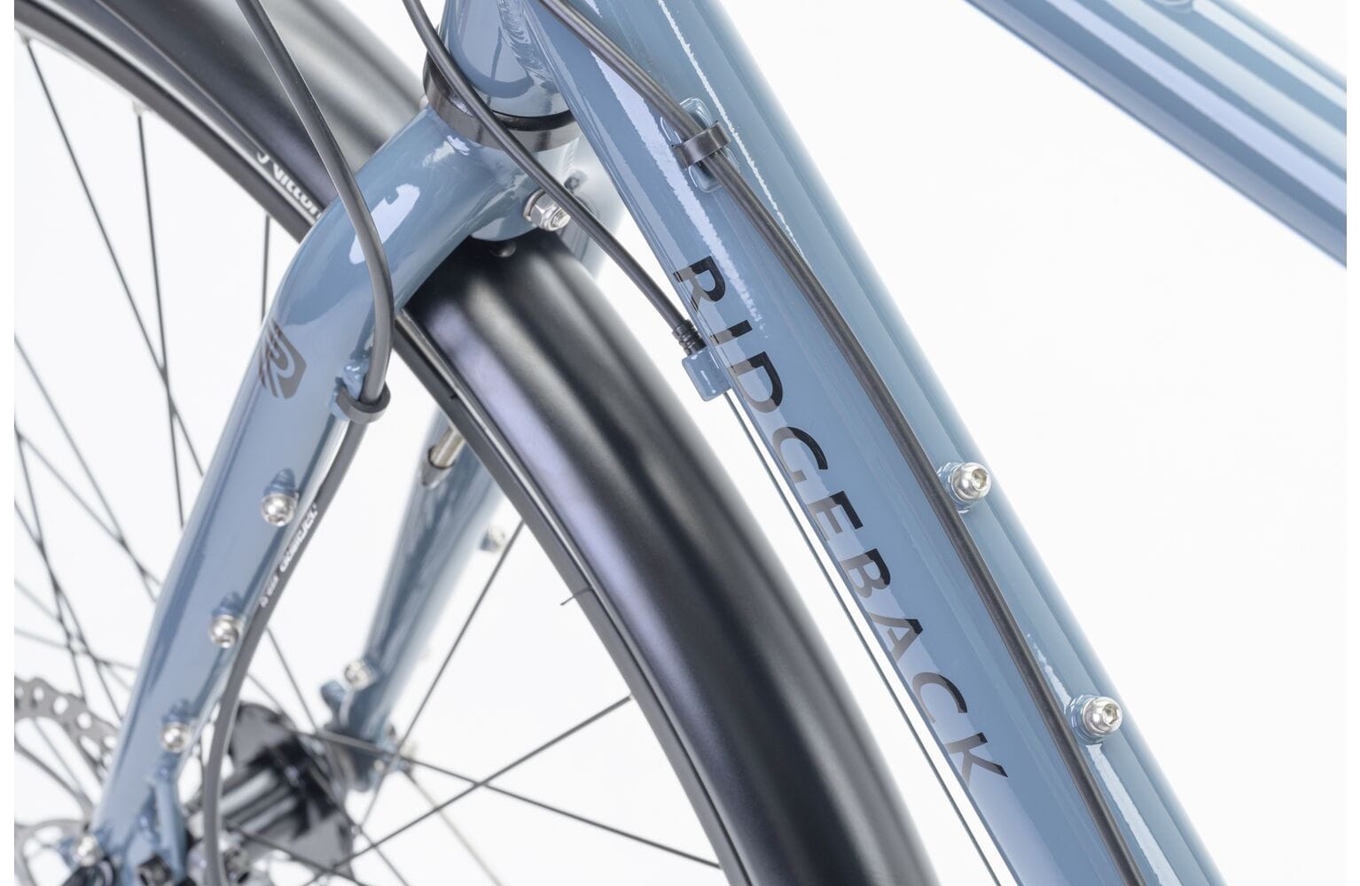 Ridgeback Tour